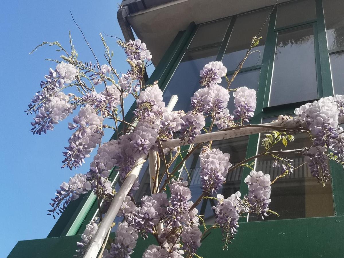 Casadei24 Lägenhet Guidonia Exteriör bild